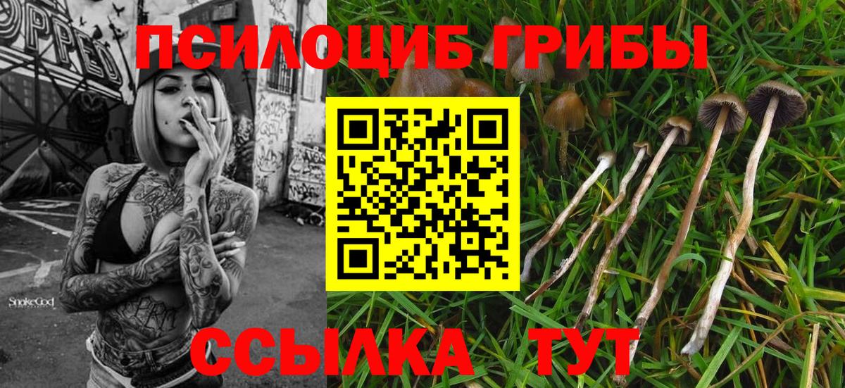 Галлюциногенные грибы Cubensis  Галлюциногенные грибы Psilocybe  купить  цена  Вход с VPN  Качканар 