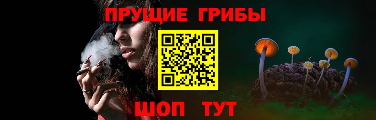 Галлюциногенные грибы Magic Shrooms Качканар